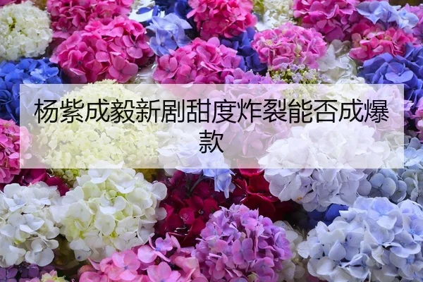 杨紫成毅新剧甜度炸裂能否成爆款